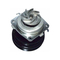 Fiat LANCIA için ISO Sertifikalı Otomobil Parçaları Su Pompası 46444355